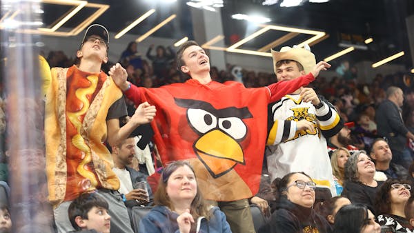 Game Day Experiences