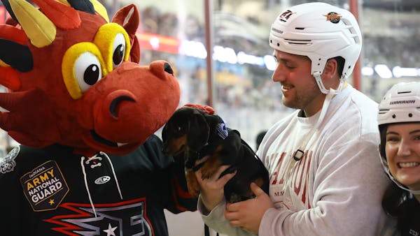 Pucks and Paws &amp; Halloween
